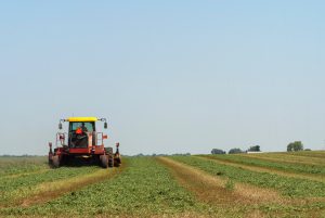 Read more about the article Agriculture: Productivity and Asset Protection